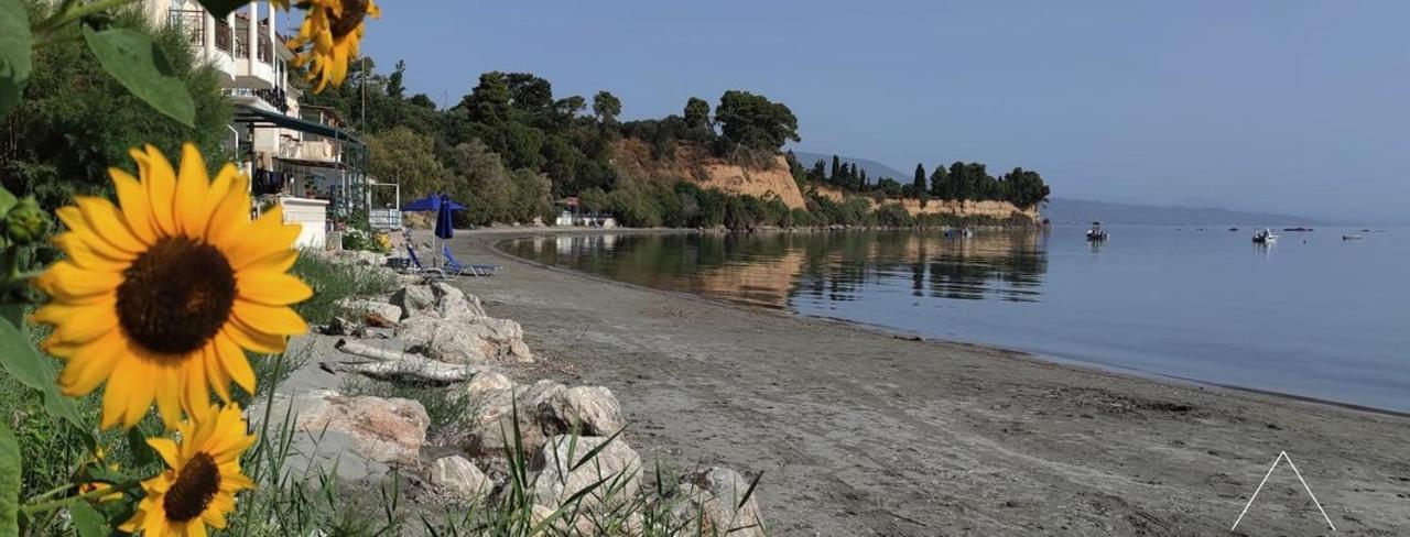 Artaki Beach Comfy Apartment Koroni  Bagian luar foto